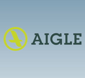 un a en forme d'aigle.