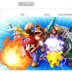 les héros des jeux vidéo nintendo.