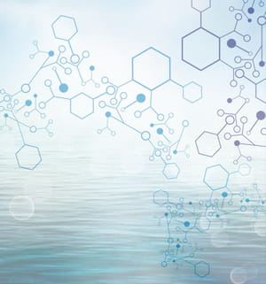 polymaris élabore des polymères issus de bioorganismes marins.