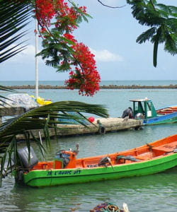 en guadeloupe, 82 généralistes et spécialistes pratiquent le dépassement
