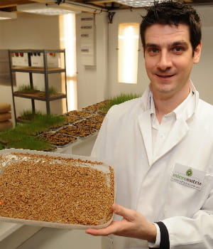 micronutris produit actuellement 1 tonne d'insectes par mois et envisage de