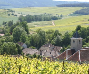 une vue de viviers-sur-artaut, dans la champagne-ardenne.