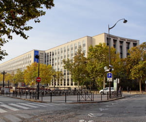 l'université de dauphine, à paris.