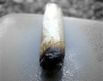 11 pirates informatiques, fervents de cannabis, écopent de peines avec sursis.