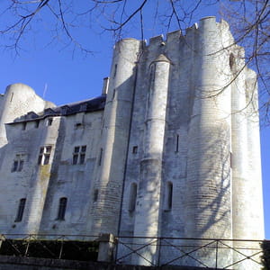 le donjon de niort.