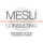Djamel Mesli