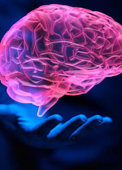 enregistrer sa vie psychique sur un ordinateur, la quête de l'esprit éternel.