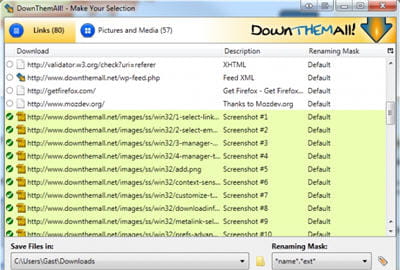 copie d'écran de l'extension downthemall!