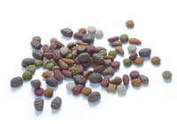 continentale nutrition fabrique pour la plupart des marques de distributeur de