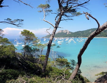 une vue de l'île de porquerolles, où la circulation automobile est interdite.