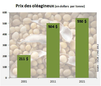 le prix des céréales oléagineuses atteindra 550 dollars par tonne en 2021