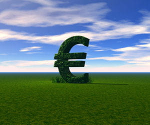 le green business est le nouvel eldorado.