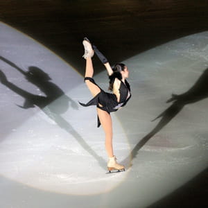 la filiale sipas productions organise notamment des spectacles sur glace.