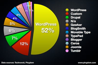 cms utilisés par le top 100 des blogs à plus fort trafic en pourcentage.