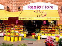 un fleuriste rapid flore.