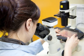 laboratoir d'analyse