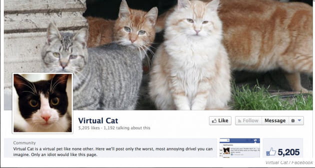virtual cat