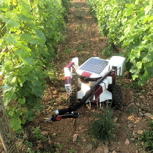 le robot vigneron de wall-ye coûte 25 000 euros.