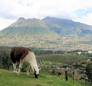 la france a exporté pour 122,90 millions d'euros en equateur en 2010.