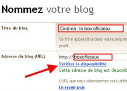capture d'écran de l'enregistrement du nom du site et de son url.
