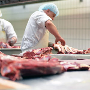 la hausse des quantités consommées de produits élaborés à base de volaille a