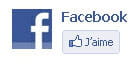 les boutons facebook sont désormais incontournables.