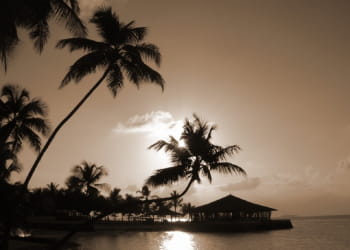 les habitants des maldives seront-ils les premières victimes du réchauffement