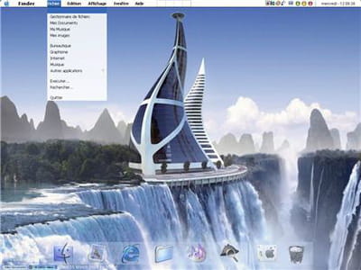 l'interface complète de mac os x sur pc ! on met bien sûr, le fond d'écran qu'on