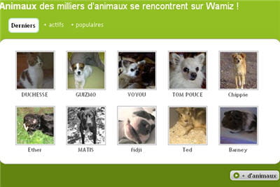 votre animal va t-il craquer sur la photo d'une de ces charmantes créatures ?