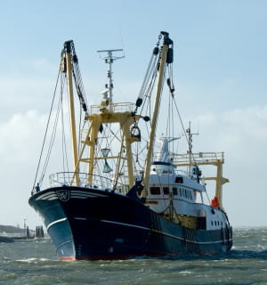 un bateau.