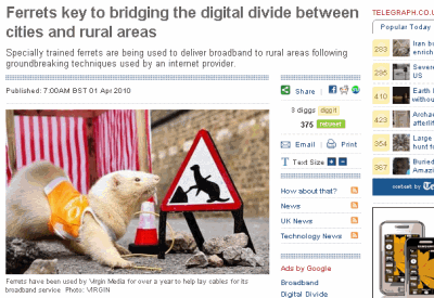 un furet tire un câble pour virgin media
