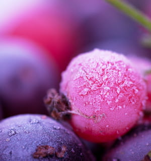 les colorants alimentaires naturels sont fabriqués à partir de concentrés de