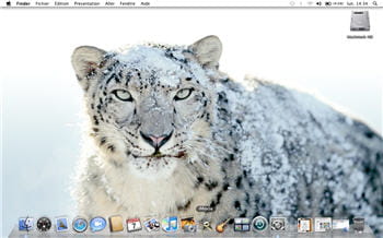 le leopard des neiges, emblème de 10.6