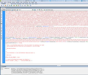 un malware venu s'insérer au début du fichier index.php d'un blog à partir d'un