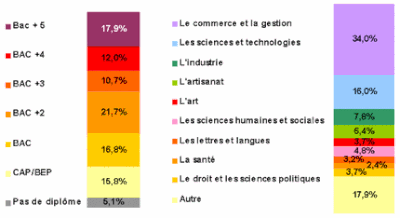 niveau et domaine d'études des e-commerçants clients d'oxatis