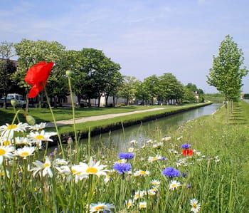 le canal de l'ourcq à la hauteur de fresnes-sur-marne.