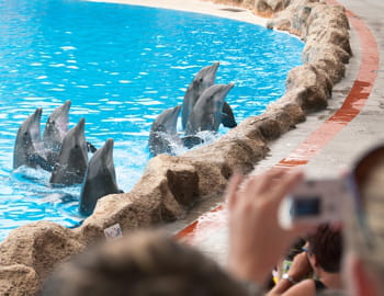 une vue de seaworld, à orlando.
