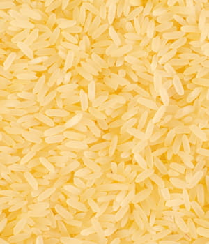 le riz doré, enrichi en vitamine a, se heurte encore à de nombreuses