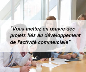responsable de projet.