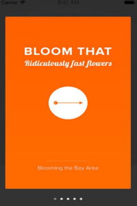 bloom that