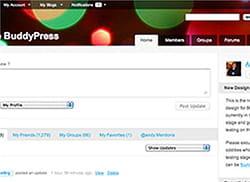 buddypress permet à chaque utilisateur de modifier les informations de son