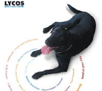 lycos a misé sur la croissance externe plus que sur l'innovation