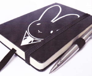 le lapin be boy se veut 'chic et branché'.
