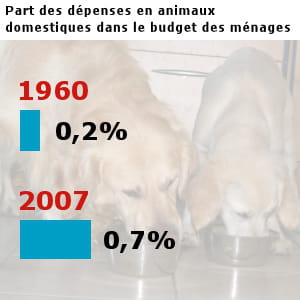 les français ont dépensé pour 5,9 milliards d'euros pour leurs animaux