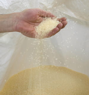 des granules de bioplastique fabriqués avec de la fécule de pomme de terre.