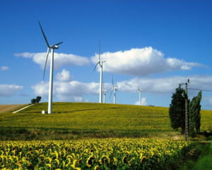 des éoliennes.