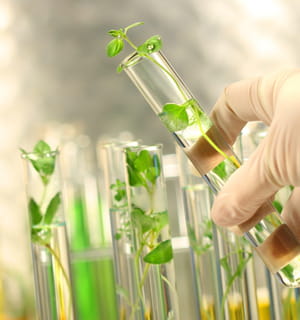 15% des produits chimiques (solvants, peintures, détergents...) seront bientôt