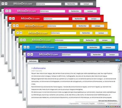 9 dictionnaires en 1