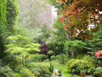 un jardin privé, à paris.