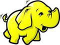 apache hadoop a pour logo un éléphant.